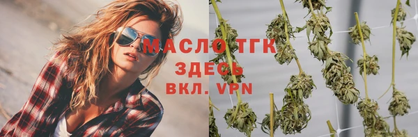 прущие крисы Горняк