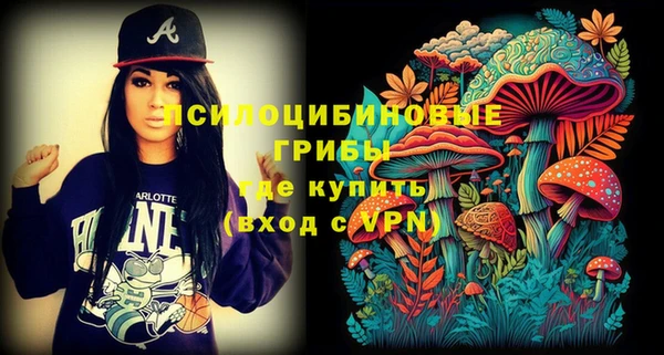 прущие крисы Горняк
