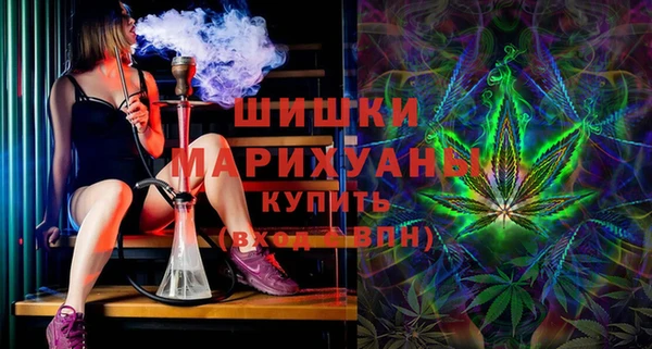 прущие крисы Горняк