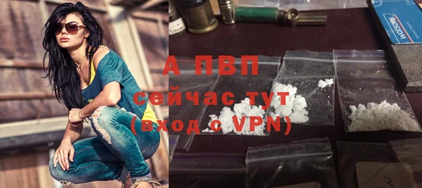 прущие крисы Горняк