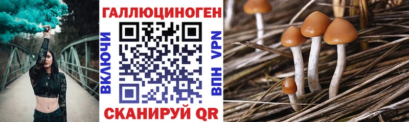 Псилоцибиновые грибы прущие грибы  Меленки 